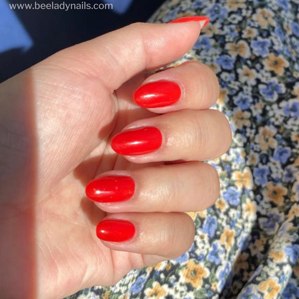 Kokoist - Color Gel - Summer Red 2.5g - #E-69