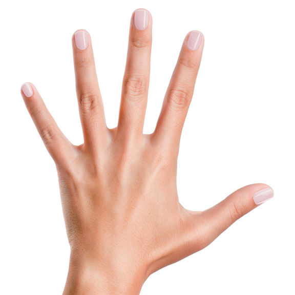 Piggy Paint Nail Polish - Basecoat + Sealer 0.5 oz