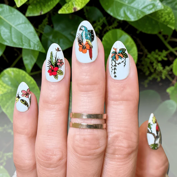 MANI-STMP-BIRDS OF PARADISE M711