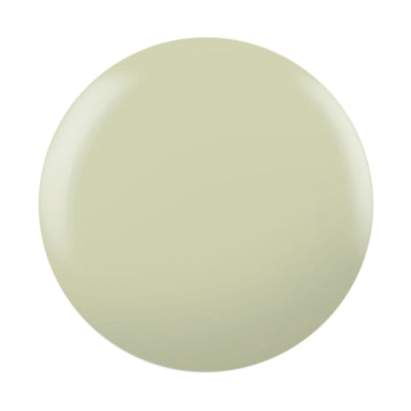 CNDS-GILDED SAGE 0.42