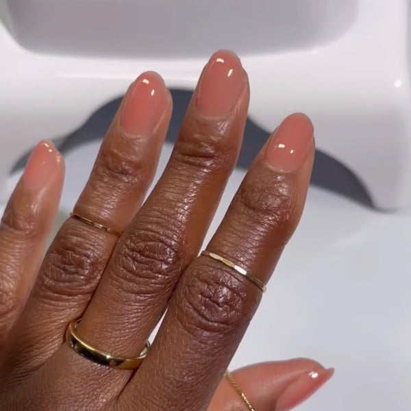 DND - DC Duo - Dixie Dawn - #164