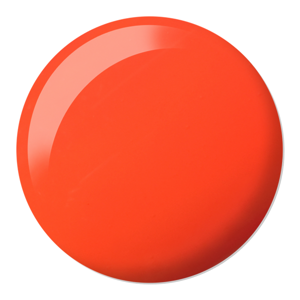 DND - DC Duo - Untamed - #2542