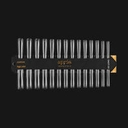 Apres - Gel-X Tip Swatch Sculpted Coffin/Square Xx Long