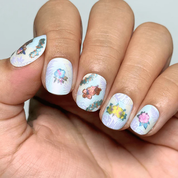 MANI-STK-ISLAND HIBISCUS