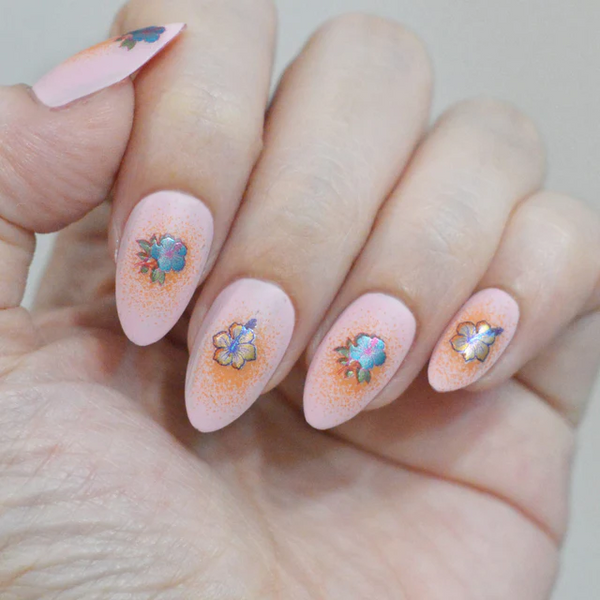 MANI-STK-ISLAND HIBISCUS