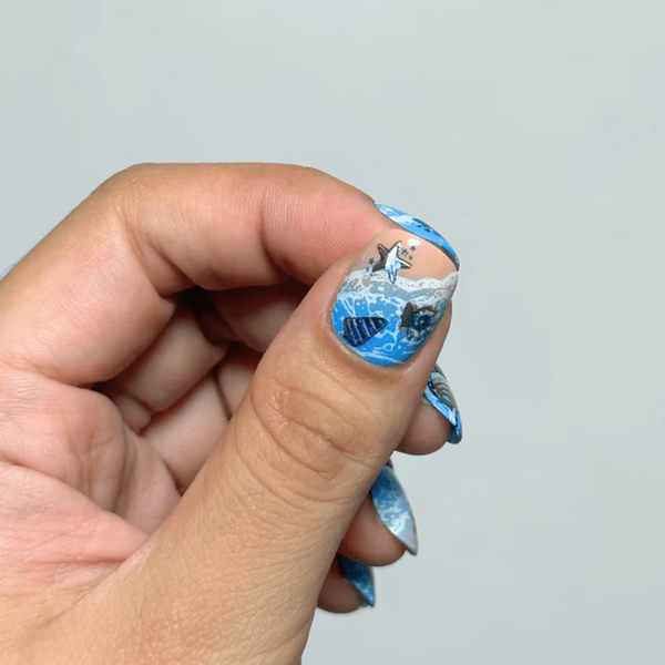 MANI-STK-SEASHORE GEMS