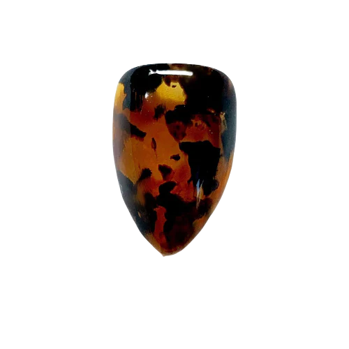 Nail Thoughts Color Gel - Tortoise Shell - #NT-12