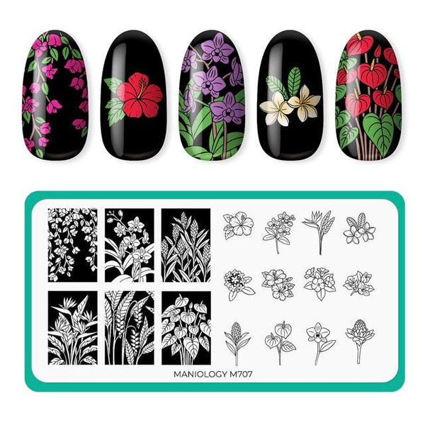 Maniology - Stamping Plate - Flora Exotica (M707)