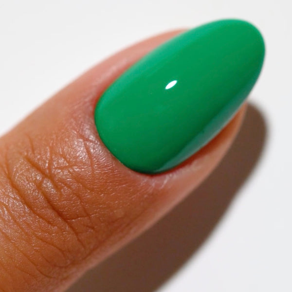 DND - DC Duo - Zen Oasis - #2525