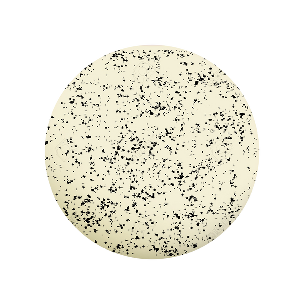 Madam Glam - Gel Polish - Spot Me Top Coat