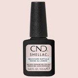 CNDS-BACKYARD NUPTIALS 0.42