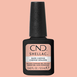 CNDS-BARE CHEMISE 0.42