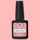 CNDS-BLUSH TEDDY 0.42