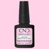CNDS-CAKE POP 0.42