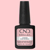 CNDS-CANDIED 0.42