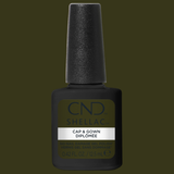 CNDS-CAP & GOWN 0.42