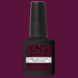 CNDS-FEEL THE FLUTTER 0.42