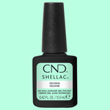 CNDS-IGUANA 0.42