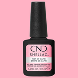 CNDS-MIST OF CAPRI 0.42