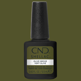 CNDS-OLIVE GROVE 0.42