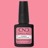 CNDS-ROSEBUD 0.42