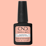 CNDS-SALMON RUN 0.42