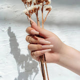 Apres - neutrals gel-x tips - alex coffin short (150 pcs)