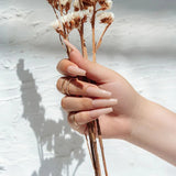 Apres - neutrals gel-x tips - alex sculpted square long (150 pcs)