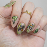 MANI-STMP-BIRDS OF PARADISE M711