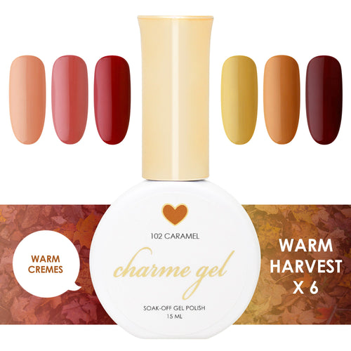 Daily Charme - Warm Harvest Collection