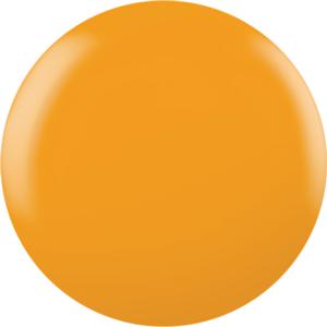 CNDS-AMONG THE MARIGOLDS 0.42