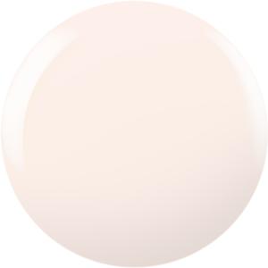 CNDS-BOUQUET 0.42