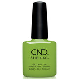 CND - Shellac Summer 6pc Collection Bundle 2026 #2