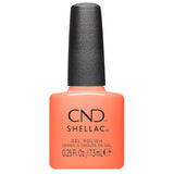 CND - Shellac Spring 6PC Collection 2026 #2