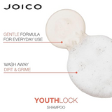 Joico - Moisture Recovery Duo Set: Shampoo 10.1 oz + Conditioner 8.5 oz
