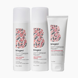 Briogeo - Don't Despair, Hair Repair Reset Set 1 oz