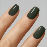 Lippmann - Summer Collection
