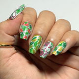 MANI-STMP-FRUTA FRESCA M710