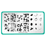 MANI-STMP-FRUTA FRESCA M710