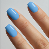 Lippmann - Summer Collection