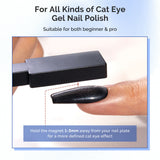 MelodySusie - 5 In 1 Multifunctional Cat Eye Gel Nail Polish Magnet - Black