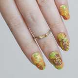 MANI-STMP-RAINFOREST SECRETS M709