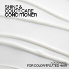 RK-ACIDIC COLOR GLOSS CONDITIONER