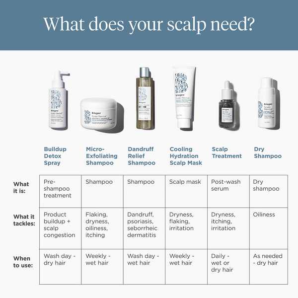 Briogeo - Scalp Revival Charcoal + Tea Tree Scalp Treatment 1 oz Drops