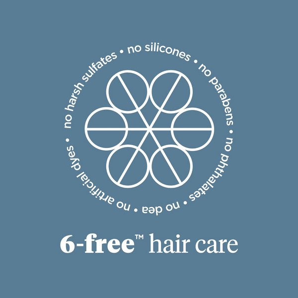 Briogeo - Scalp Revival Charcoal + Tea Tree Scalp Treatment 1 oz Drops
