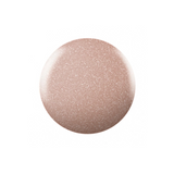 CNDS-BELLINI 0.42