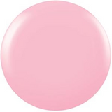 CNDS-CANDIED 0.42