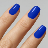 Lippmann - Summer Collection