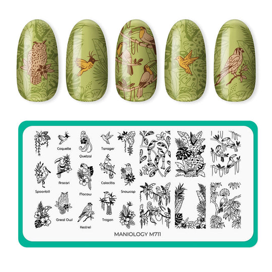 Maniology - Stamping Plate - Birds Of Paradise (M711)