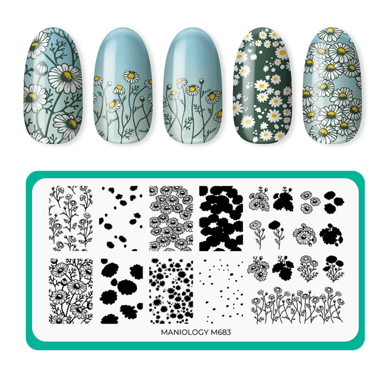 Maniology - Stamping Plate - Chamomile Melody - M683